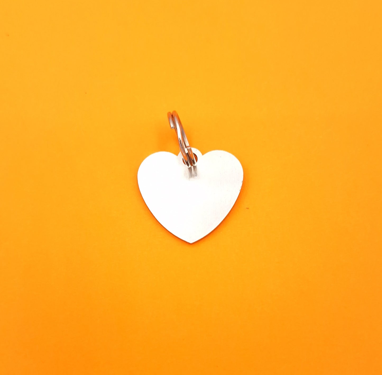 Pet and Person Matching Heart Accessories Set