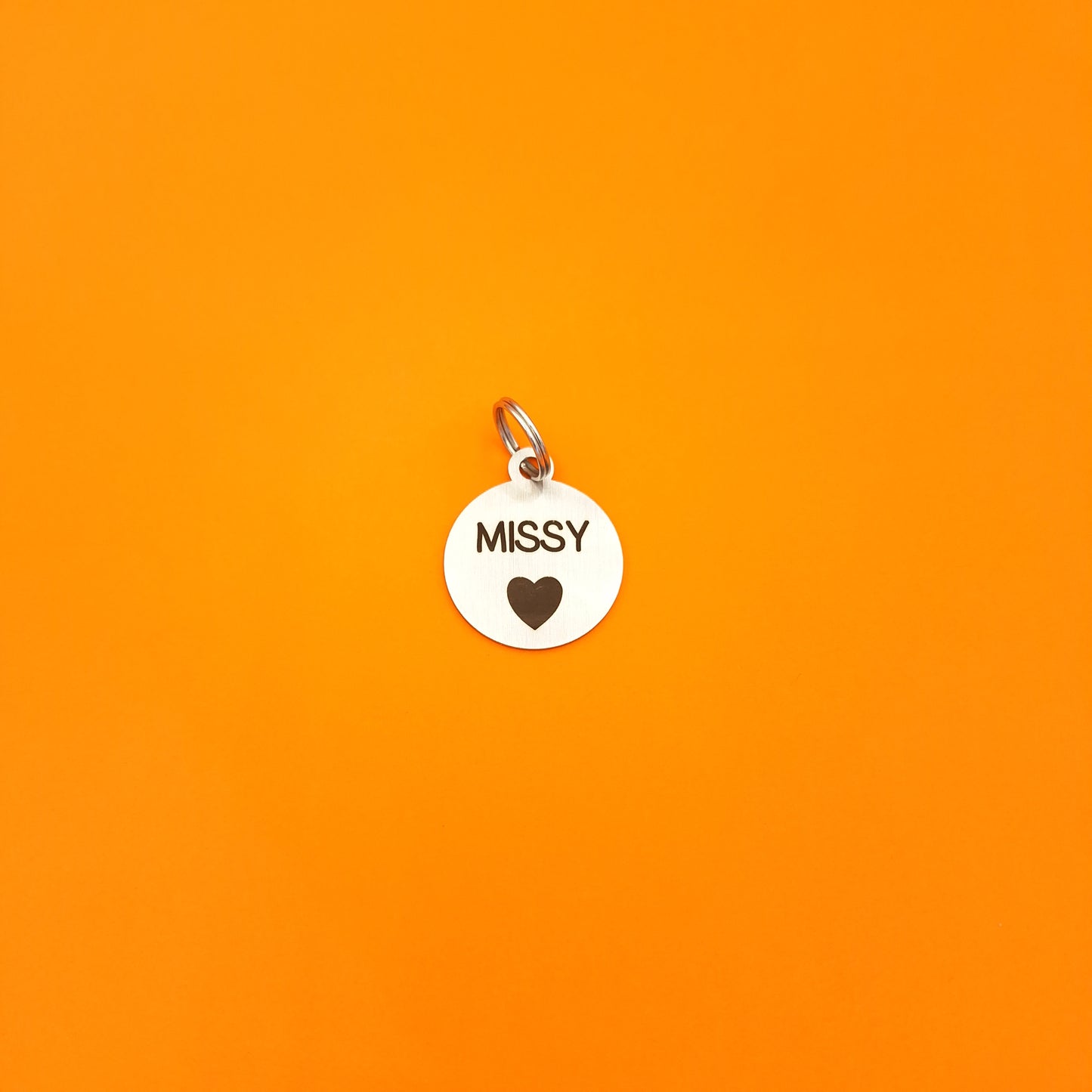 Round Pet ID Tag