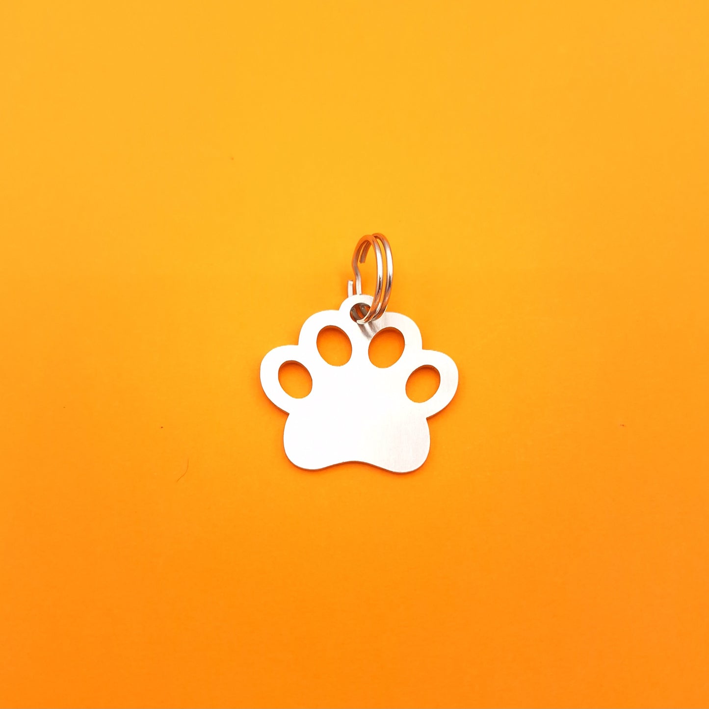 Pet and Person Matching Paw Print Accessories Set