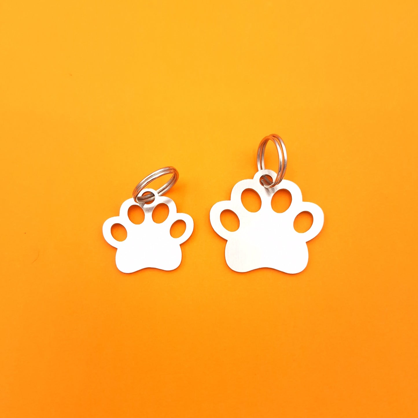 Pet and Person Matching Paw Print Accessories Set