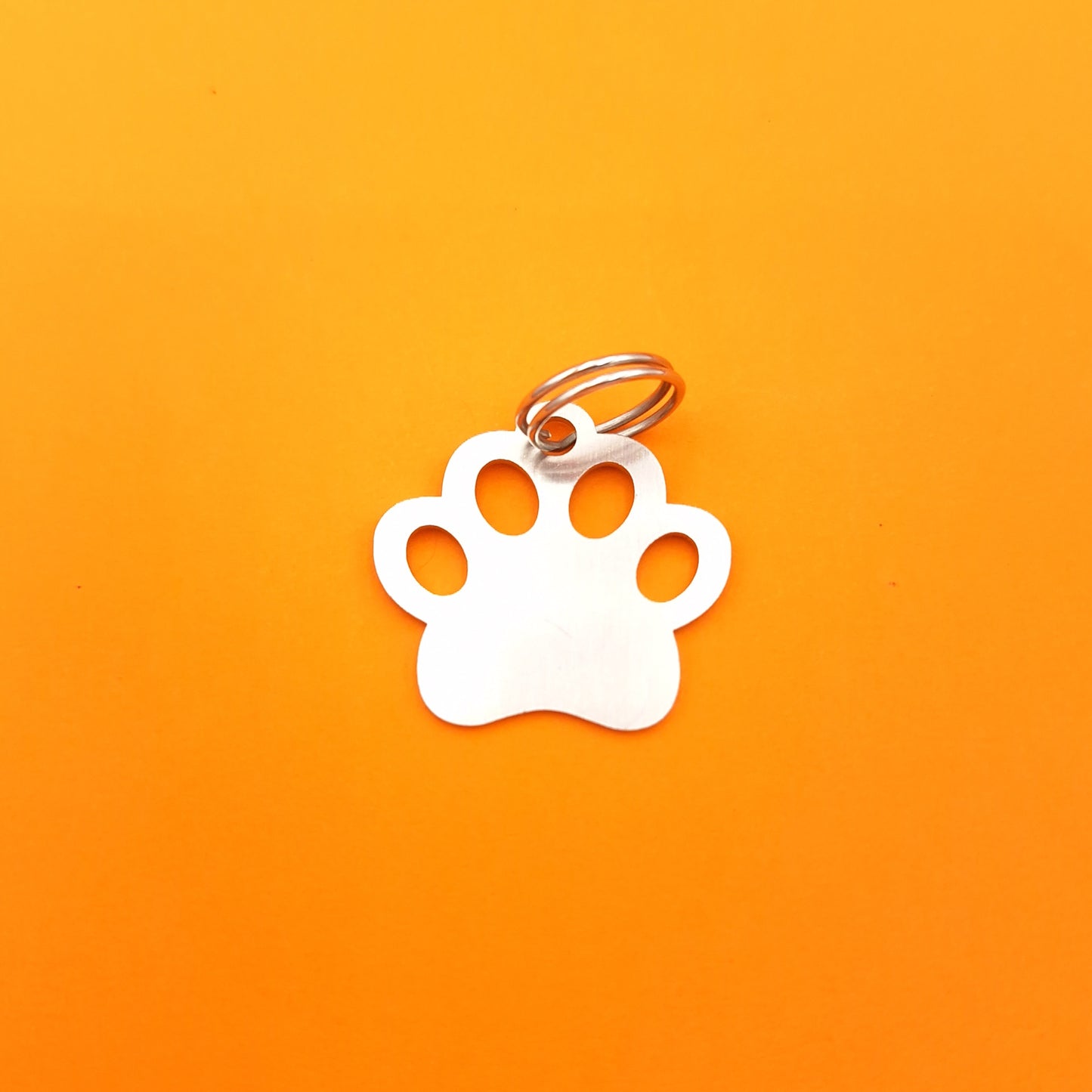 Pet and Person Matching Paw Print Accessories Set