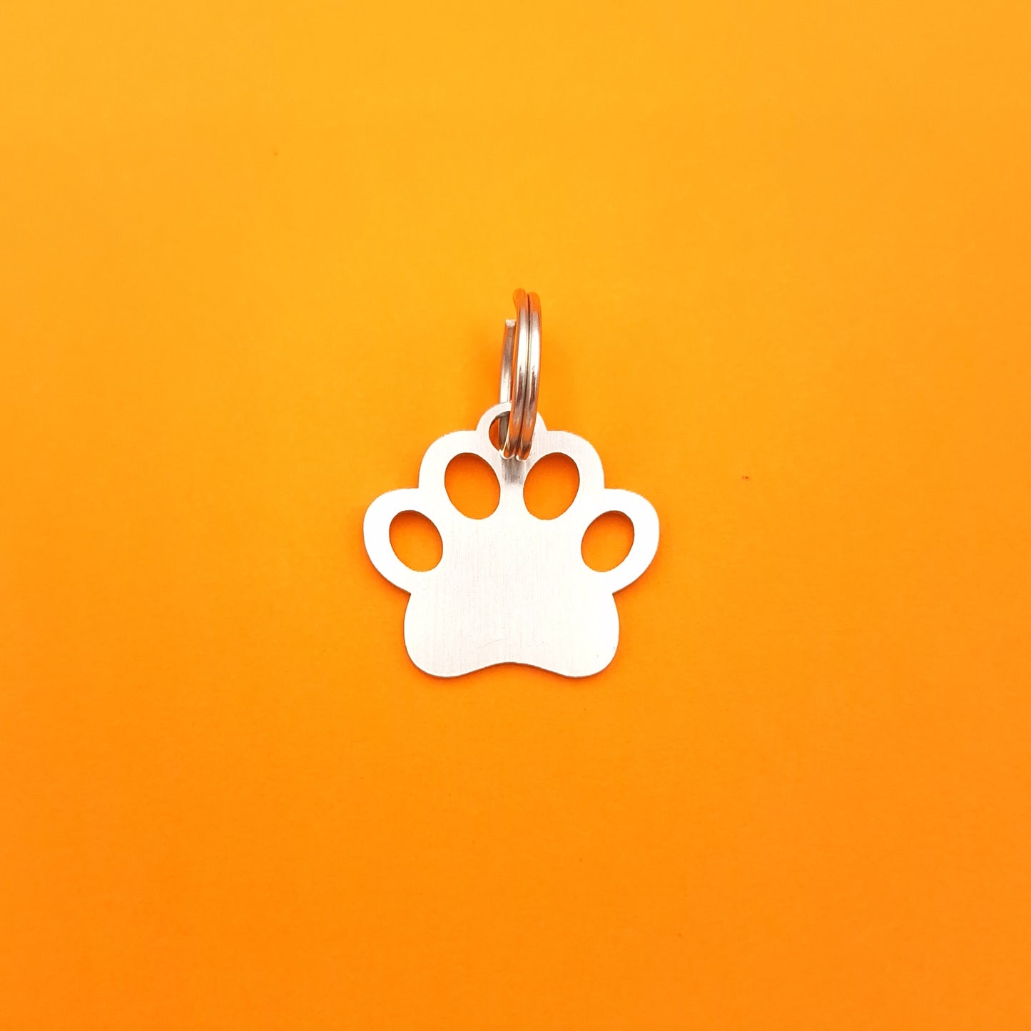 Pet and Person Matching Paw Print Accessories Set
