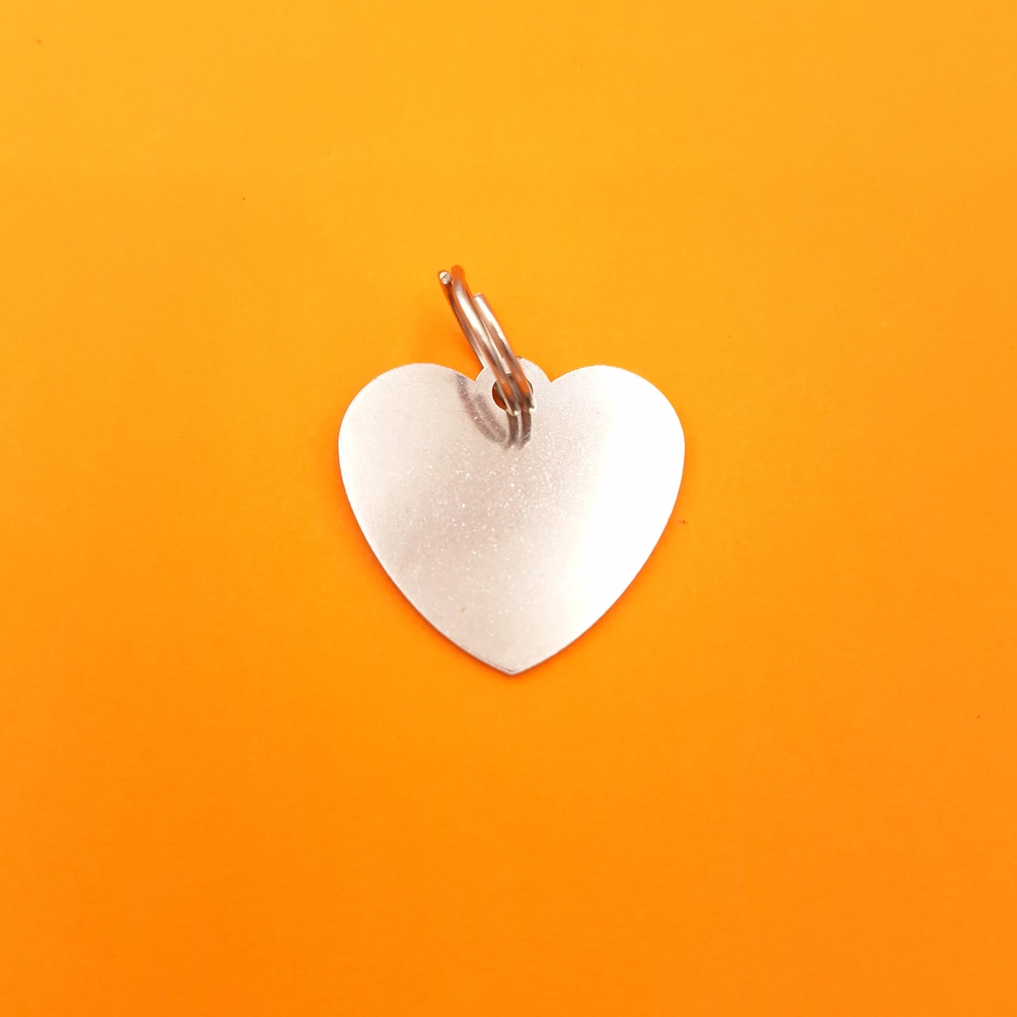 Pet and Person Matching Heart Accessories Set