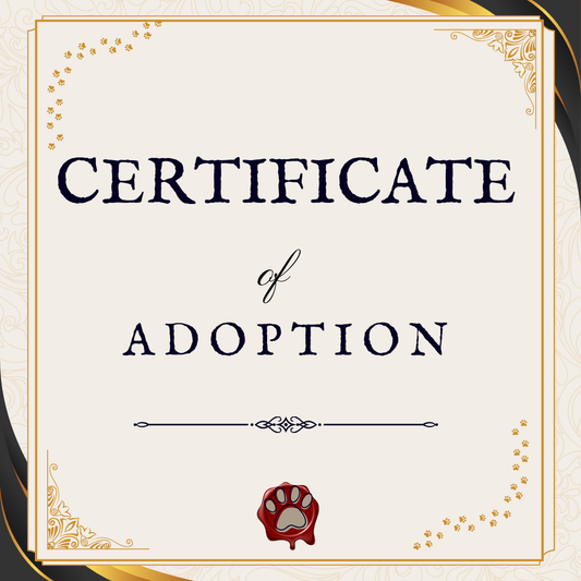 Printable Pet Adoption Certificate
